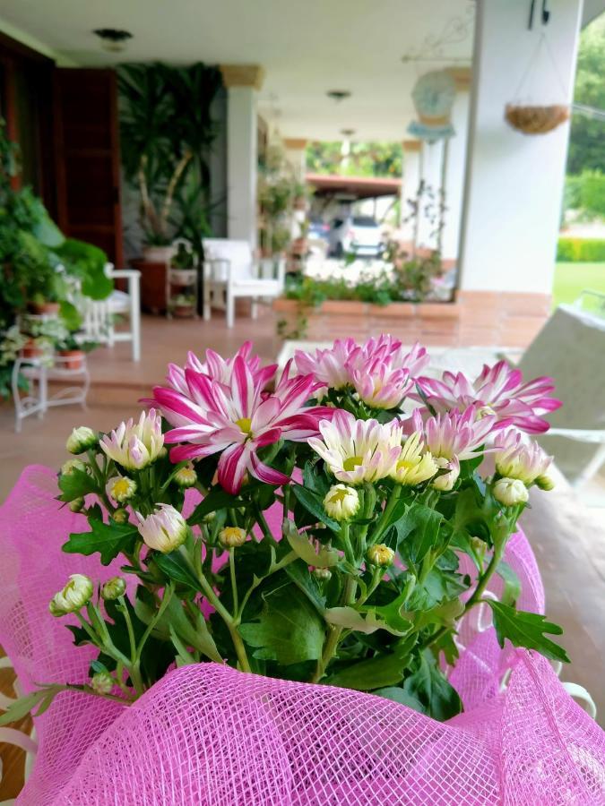 B&B Il Cantico Greccio Екстер'єр фото