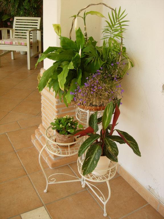 B&B Il Cantico Greccio Номер фото